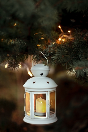 圣诞节冷杉装饰手提灯摄影图片